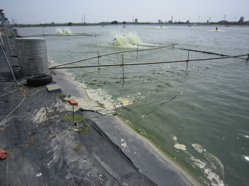 「循環水養殖設施補助」 黃偉哲呼籲漁民朋友踴躍申請