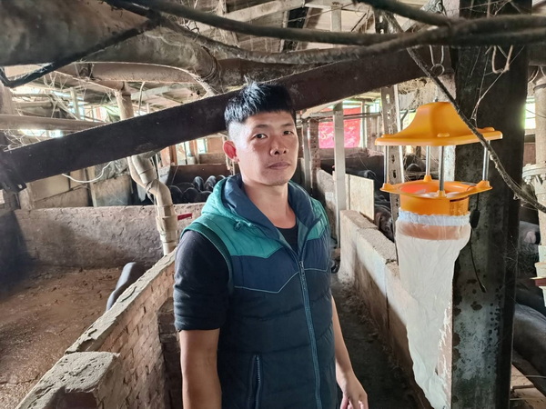 防疫重大豬病,新北市動保處提供捕蟲燈、防疫稽查與實名制三管齊下