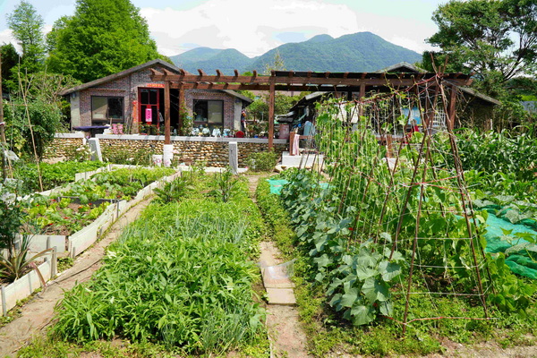 打造農村再生新亮點 新北淡水忠寮市民農園再優化